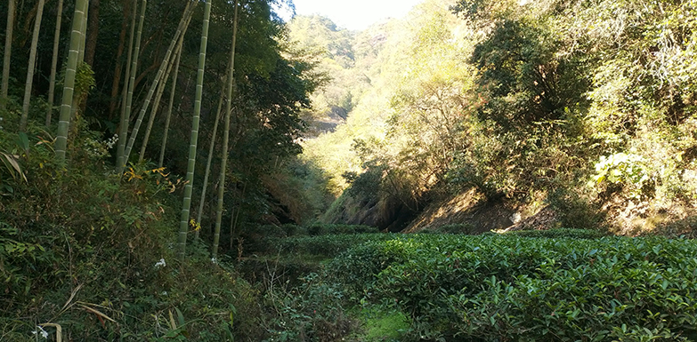 01-碧石岩03.jpg